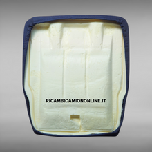 Carica l&#39;immagine nel visualizzatore di Gallery, SEDUTA SEDILE IMBOTTITA CON FODERA IN TESSUTO IVECO DAILY DAL 2006 AL 2009 35S10 35S12 35S15  35C10 35C12 35C13 35C14 35C15 35C18 50C 65C