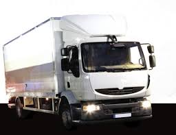 SPECCHIO GUARDARUOTA MARCIAPIEDE DESTRO RENAULT MIDLUM
